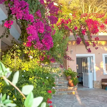 Studio Tonia - Beach, Corfu * Пелекас